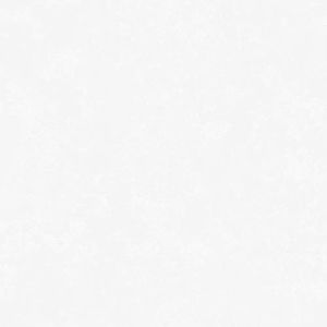 Meet your Posher, Neko